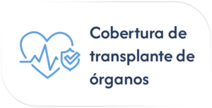 SM_Cobertura_03